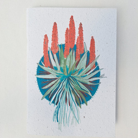 Seed Paper Notebooks - Pack of 10